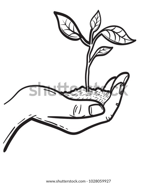 Human Hand Holding Handful Soil Young Stock Vector (Royalty Free ...
