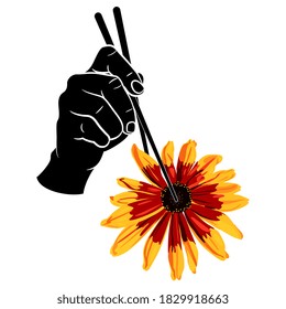 Human hand holding head of Black-Eyed Susan flower with chopsticks. Rudbeckia hirta. Creative concept for healthy vegetarian food and diet.