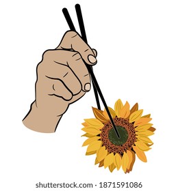 Human hand holding head of sunflower blossom with chopsticks. Creative concept for healthy vegetarian food.