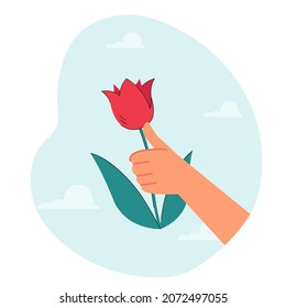 Human hand holding red flower. Man picking flower and giving it to woman flat vector illustration. Valentines Day, date, holiday celebrating concept for banner, website design, landing web page
