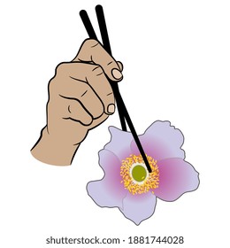 Human hand holding single anemone flower with chopsticks. Creative concept.