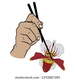 Human Hand Holding Single Blooming Head Of Orchid Flower With Chopsticks. Creative Floral Food Concept. Paphiopedilum. Venus Slipper. Isolated Vector Illustration.