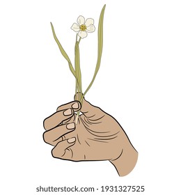 Human Hand Holding Single Flower Of Ranunculus Or Narcissus. Creative Concept For Spring And Nature.