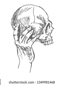 Human hand holding skull