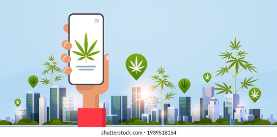 human hand holding smartphone drug dealer order cannabis hemp marijuana or medicine online buying drugs concept mobile app cityscape background flat horizontal