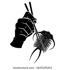 Human hand holding trilobite with chopsticks. Creative concept for exotic oriental food and extinct animals. Hunger for past.