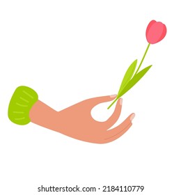 Human hand holding tulip. Vector flat flower. Flower in hand. Red tulip in hand. Healing and cosmetics herb For label, packaging, card for congratulations, invitations. Flat vector