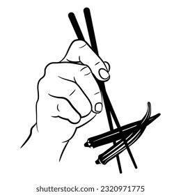 Hand, die zwei reife Pods oder Früchte von Okra hält. Abelmoschus esculentus. Gesunde vegetarische Ernährung. Asiatische Küche. Schwarz-Weiß-Silhouette.