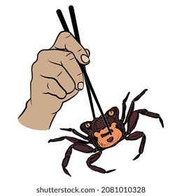 Mano humana sosteniendo el Cangrejo de vampiros con palillos. Geosesarma Tiomanicum. Un concepto creativo de la comida marina.