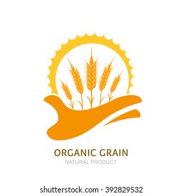 Human hand holding wheat ears and sun. Vector logo, label, package design elements. Barley, or rye illustration. Concept for agriculture, organic cereal products, harvesting grain and farming. 