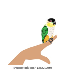 human hand and little parrot, vector