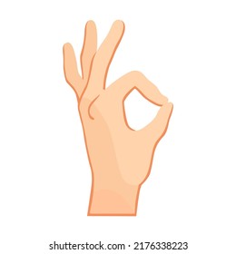 Human hand ok gesture. Arm and wrists, amount signs, open palm, pointing with finger, greeting, fist. Vector illustration for communication, signals