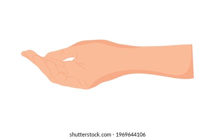 mano humana sobre fondo blanco