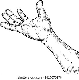A human hand with an open palm. Hand drawn vector illustration. 