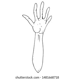 Human hand with an open palm. Open hand. Five fingers on the hand. HELLO sign with hands. Vector illustration. Simple hand drawn icon.