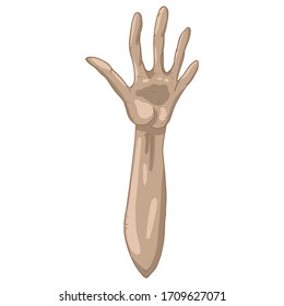 Human hand with an open palm. Open hand. HELLO sign with hand. Vector illustration. Simple hand drawn.	