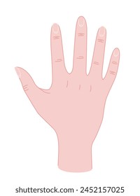 Ilustración vectorial del gesto de la palma de la mano humana aislada sobre fondo blanco