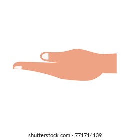 Human hand with palm open