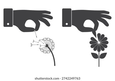 human hand plucks flower dandelion petal icon