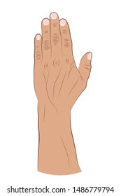Human hand raised up on a white background. Vector illustration of a brush with fingers. Hand drawing