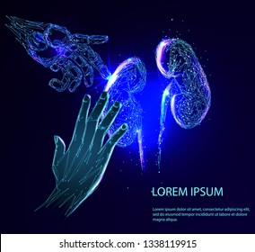 Human hand and the robot arm saves the Human Kidney. Human Kidney anatomy form lines and triangles, point connecting network on blue background. Medicine concept with geometry triangle. 