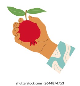 A mão humana no manguito de camisa segura a fruta romã madura na casca, colhida da árvore com folhagem. Ilustração bonito vetor de colheita, suco recentemente espremido, alimentação saudável.