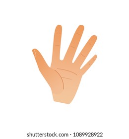Mano humana que muestra cinco dedos aislados sobre fondo blanco. Gesto de palma abierta con el significado de parada o hola. Ilustración vectorial de dibujos animados de la parte del cuerpo - muñeca con signo de cinco alto.