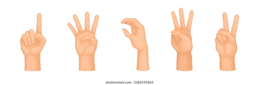 Human Hand Showing Gestures and Signs Vector Set