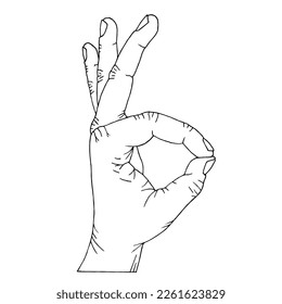 Human hand showing ok gesture. Approval gesture, making ok sign. Hand Drawn. Freehand drawing. Sketch. Outline.	