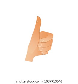 Human hand showing thumbs up gesture isolated on white background - wrist with ok and like sign. Cartoon vector illustration of body part for success concept.