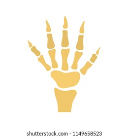 Human hand skeleton color vector icon. Flat design