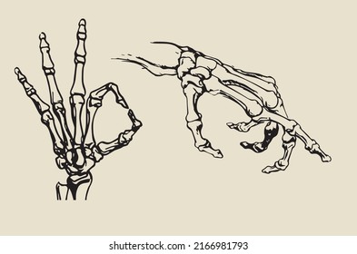 Human Hand Skeleton In Two Poses