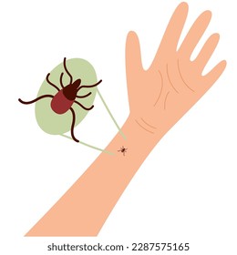 The human hand with  the tick bite. Tick bite hand.Tick bite.  Healthcare illustration. 