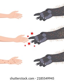 Human hand touching monkey's paw. transmission of the monkeypox virus from apes to humans