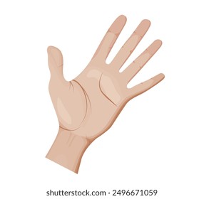 Human Hand Vector Illustration on white background.