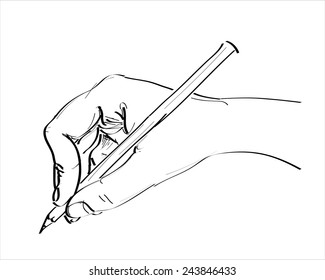 Human Hand Writing Vector  Sketch 