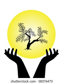 human hands caring tree, symbol of nature