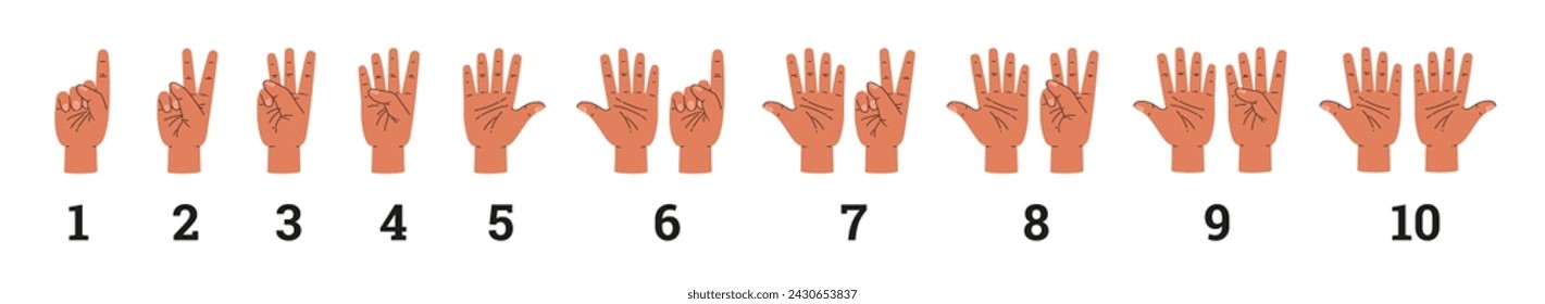 Las manos humanas cuentan y muestran números con gestos de dedos. Conjunto de gestos de conteo y números, ilustración vectorial de dibujos animados aislados sobre fondo blanco.