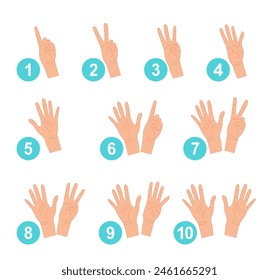 Human Hands Expressing Numbers 1, 2, 3, 4, 5, 6, 7, 8, 9 and 10. Fingers Expressing Count from One to Ten. Counting Hand One, two, three, four, five, six, seven, eight, nine and ten. Vector.