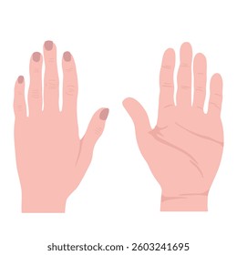 Human hands frond and back palm fingers 