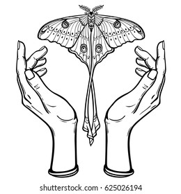 Human hands hold a butterfly having a tail. Coloring book. Vector illustration isolated on a white background.