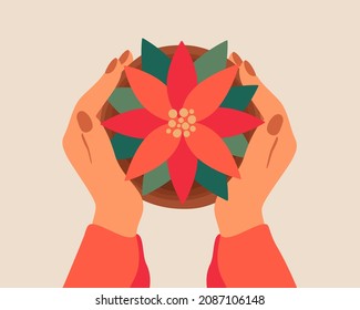  Human hands hold poinsettia in flower pot top view. Woman gives Red poinsettia plant with leaves. Christmas holiday gift concept. Vector illustration