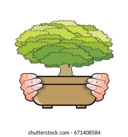human hands holding brown pot with small green tree-vector drawing