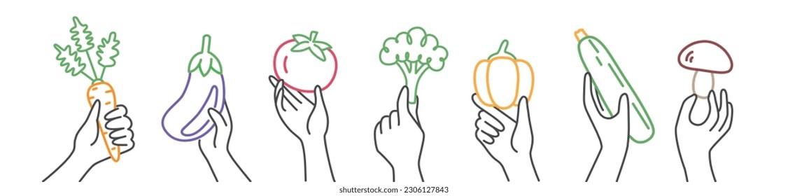 Human hands holding carrot, broccoli, tomato, garlic, zucchini, mushroom, aubergine, bell pepper. Balanced healthy food and vegan diet concept. Hand drawn vector illustration.