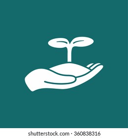Human hands holding sprout