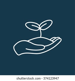 Human hands holding sprout