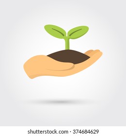 Human hands holding sprout