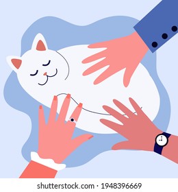 Human hands petting white fluffy cat. Kitten, fur, love flat vector illustration. Domestic animals and pets concept for banner, website design or landing web page
