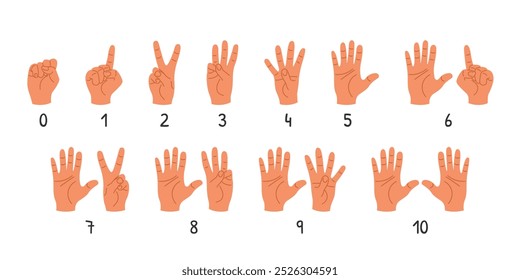 Human hands showing different numbers from 0 to 10. Set of isolated illustrations with gestures on white background. The palms and fingers show signs. Design for education, infographics, counting.