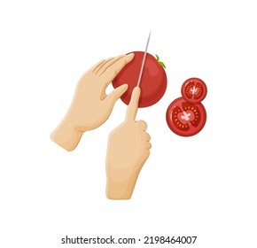 Human hands slicing ripe tomatoes with knife, top view. Chef cutting vegetables with knife to prepare food. Cooking process, kitchenware utensil cartoon vector